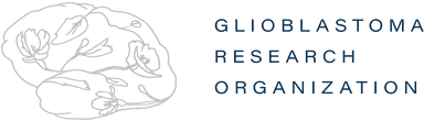 gbm logo